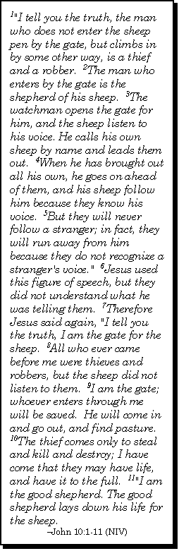 John 10:1-11